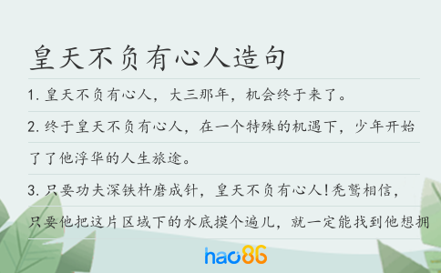 皇天不负有心人造句