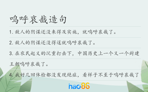 呜呼哀哉造句