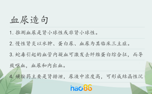 血尿造句
