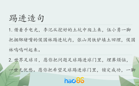 踢进造句