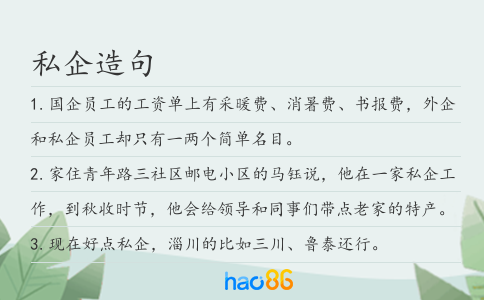 私企造句