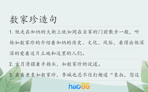 数家珍造句