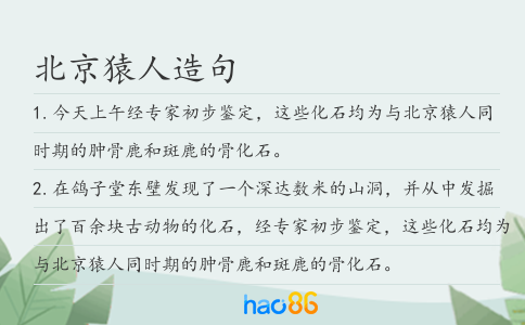 北京猿人造句