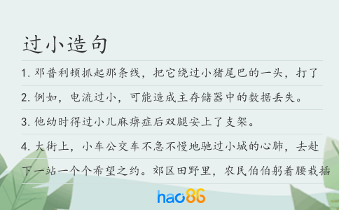 过小造句