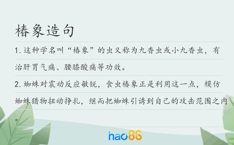 椿象造句