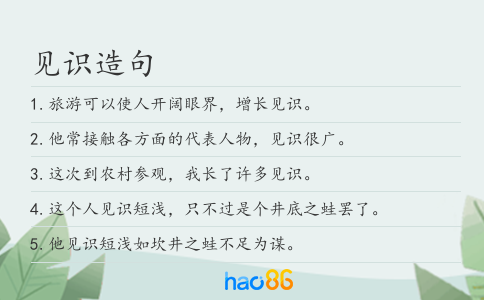 见识造句