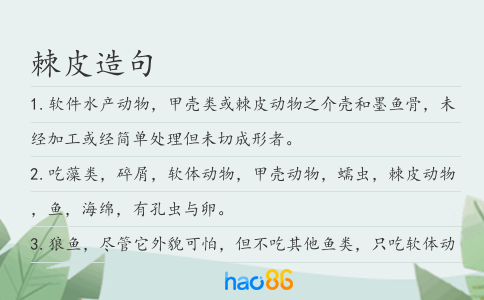 棘皮造句