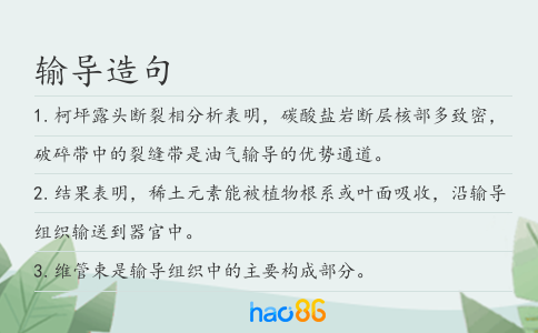 输导造句