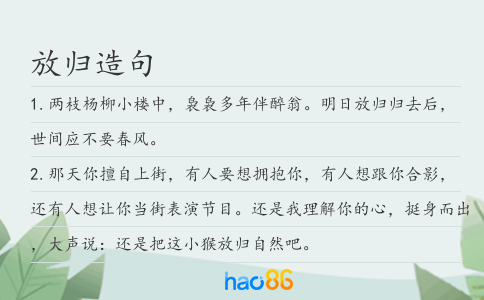 放归造句