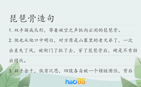 琵琶骨造句