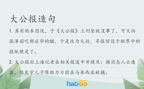 大公报造句