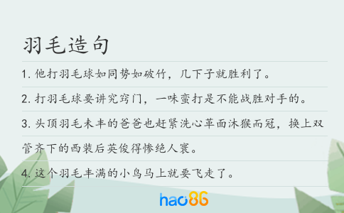 羽毛造句