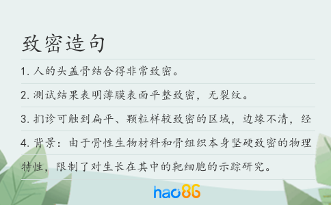 致密造句