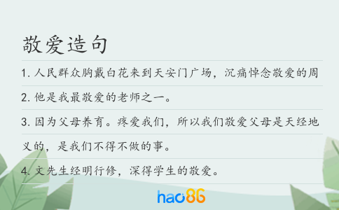 敬爱造句