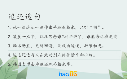 追还造句
