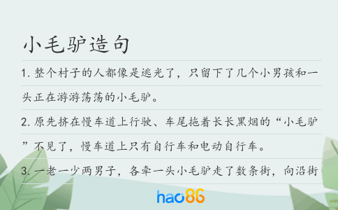 小毛驴造句
