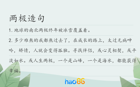 两极造句