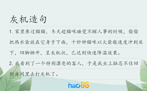 灰机造句