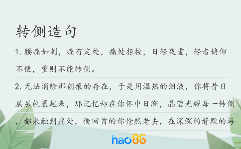 转侧造句