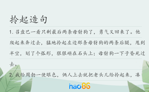 拎起造句