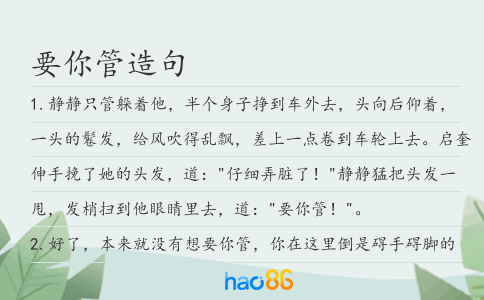 要你管造句