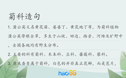菊科造句