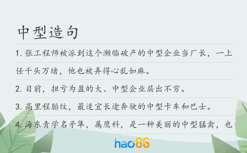 中型造句