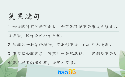 荚果造句