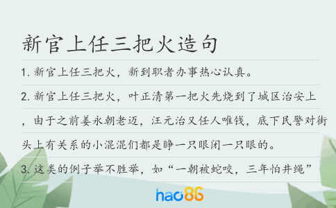 新官上任三把火造句
