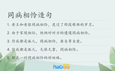 同病相怜造句