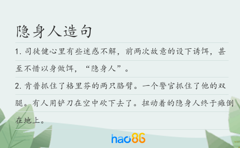 隐身人造句