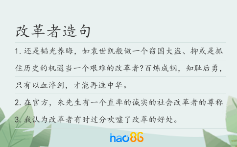 改革者造句