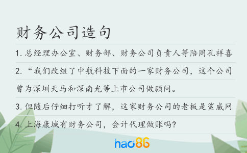 财务公司造句