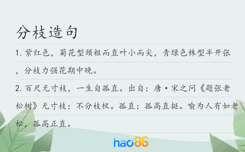 分枝造句