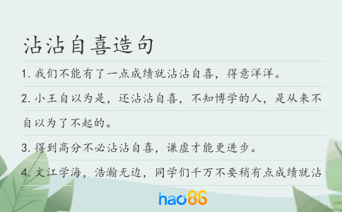 沾沾自喜造句