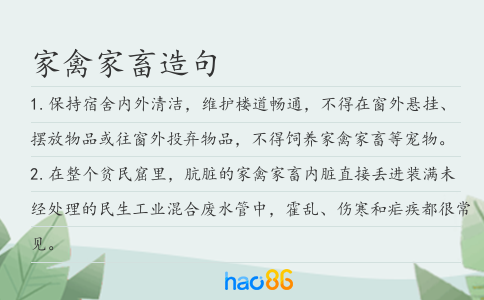 家禽家畜造句