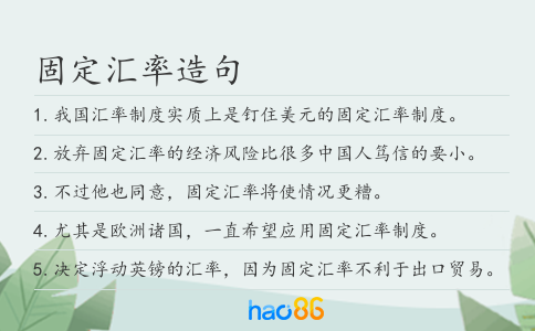 固定汇率造句