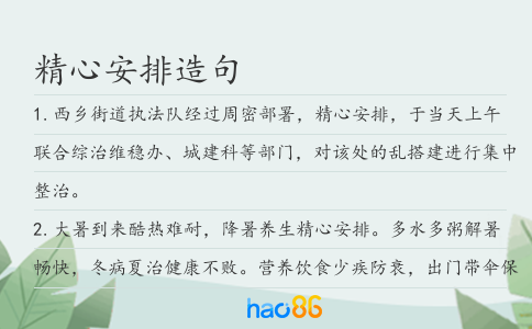 精心安排造句