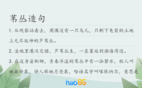 苇丛造句