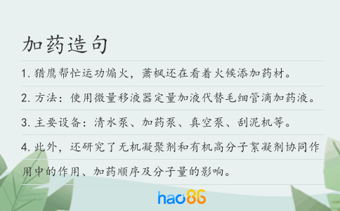加药造句