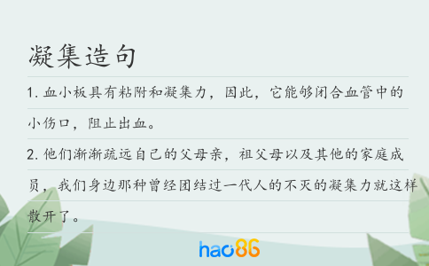 凝集造句