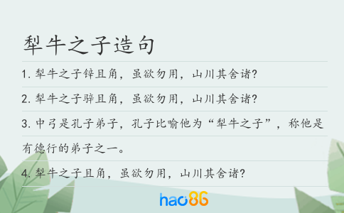 犁牛之子造句