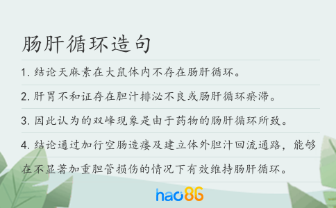 肠肝循环造句