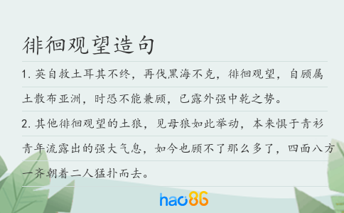 徘徊观望造句