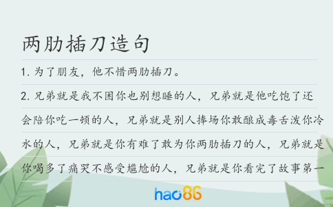 两肋插刀造句