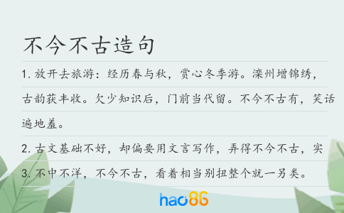 不今不古造句