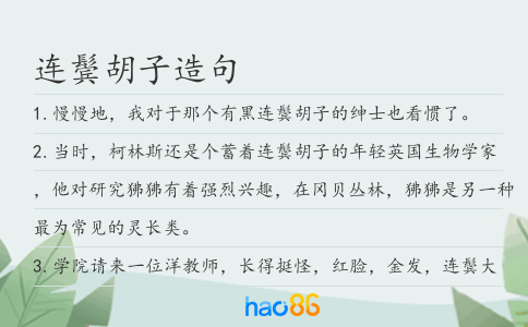 连鬓胡子造句