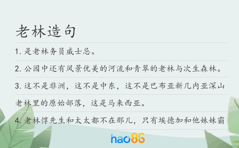 老林造句