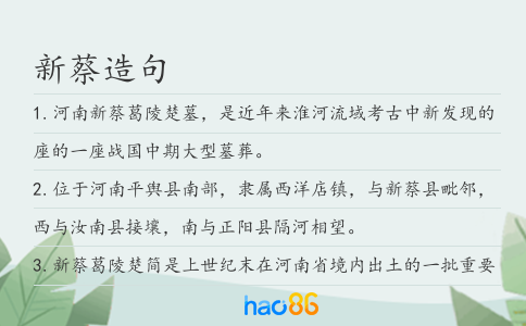 新蔡造句
