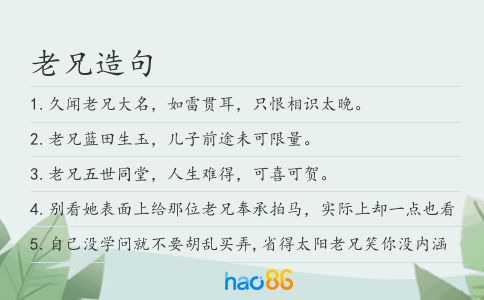 老兄造句